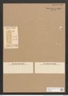 Amphiprora lineata Grev. (de-Toni-Nr.: Genus 29, Species 1336) Zeichnungen Sammlung Grunow Nr. 2565 (NHMW-BOT-W0369748)